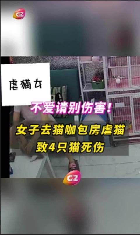 游戏专题 第62页